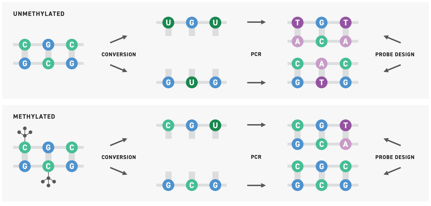 Methylation Sequencing Of Cfdna Twist Bioscience